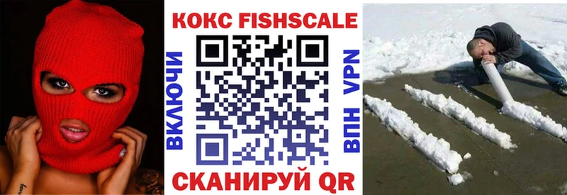 сколько стоит  Грязи  КОКАИН Fish Scale 