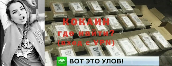 гашик Новозыбков