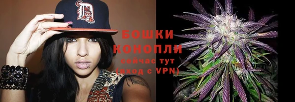 гашик Новодвинск
