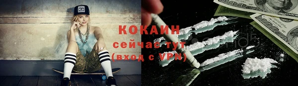 гашик Новодвинск