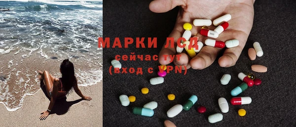 гашик Новозыбков