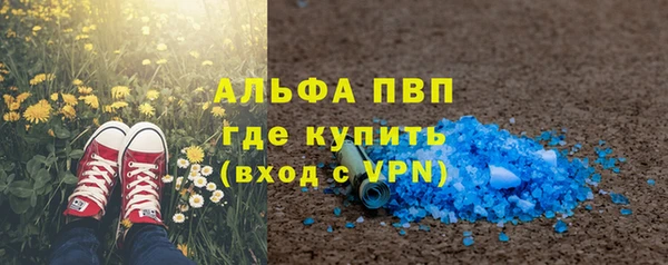 гашик Новозыбков