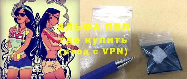 гашик Новозыбков