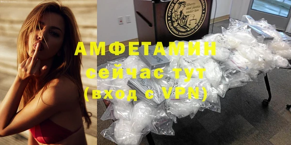 гашик Новозыбков