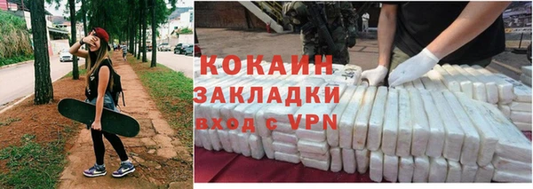 гашик Новозыбков