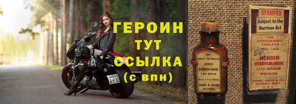 гашик Новозыбков