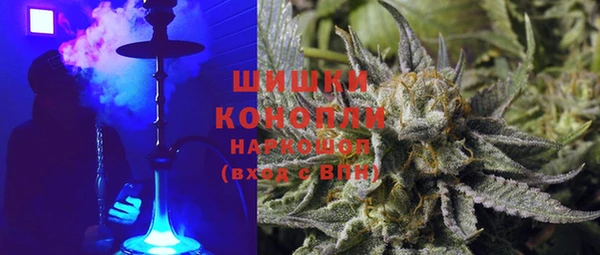 гашик Новозыбков