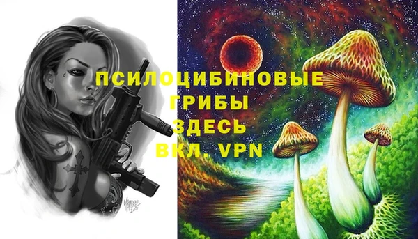 гашик Новозыбков