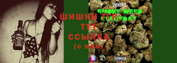 гашик Новодвинск