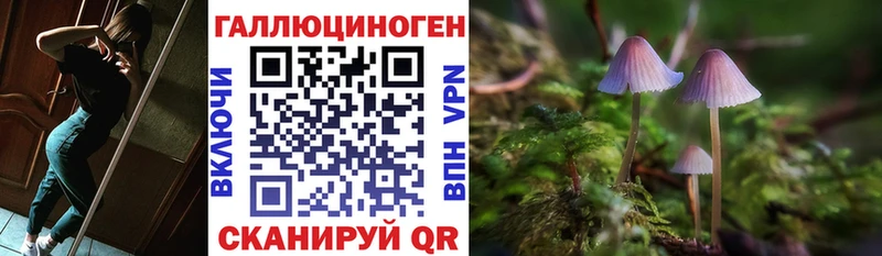 Галлюциногенные грибы MAGIC MUSHROOMS  гидра   Грязи 