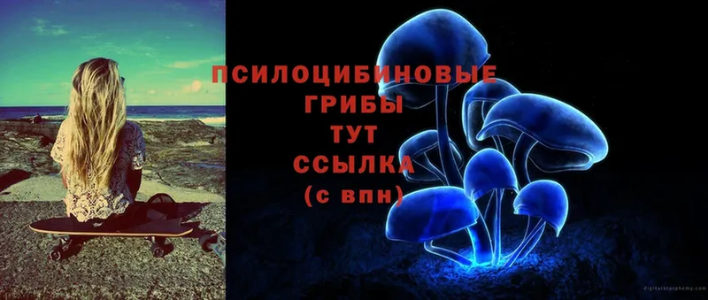 ОМГ ОМГ ссылка  маркетплейс какой сайт  Галлюциногенные грибы MAGIC MUSHROOMS  Грязи 