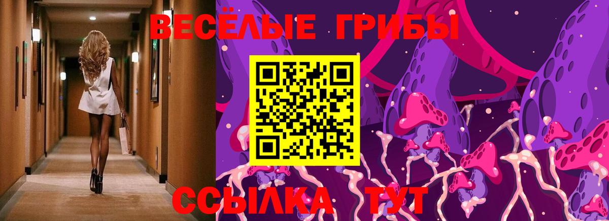 наркошоп  Псилоцибиновые грибы Psilocybine cubensis  Вход с VPN  Грязи 